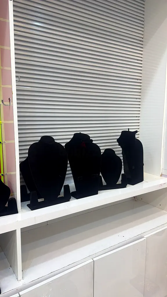 DPV_View_Image_1