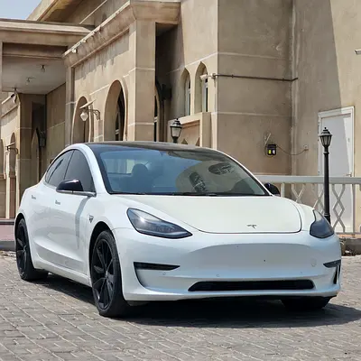 2020 Tesla MODEL 3 photo 1
