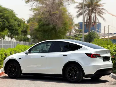 Tesla Model Y Long Range, миниатюра 13