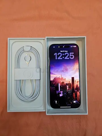 17 Pro 256 used silver sim version