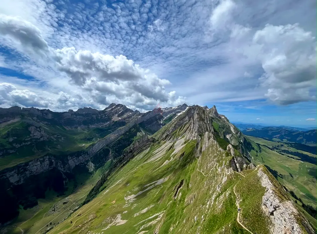 DPV_View_Image_1