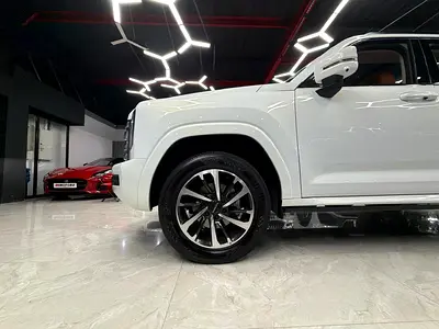 Haval H9 Dignity, миниатюра 7