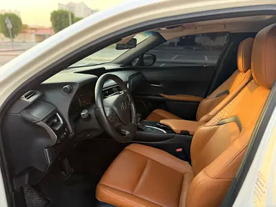 2021 Lexus UX-SERIES 照片 13