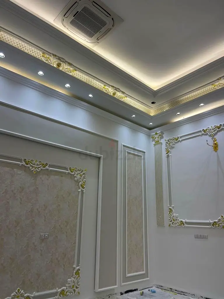 DPV_View_Image_2