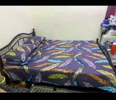 Queen size bed with matress
