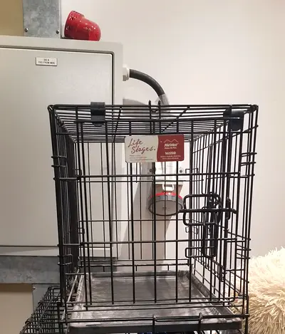 Transportation cage