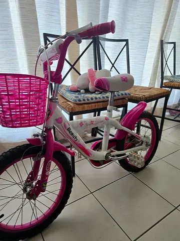 Kids 14 inch Girls Bicycle