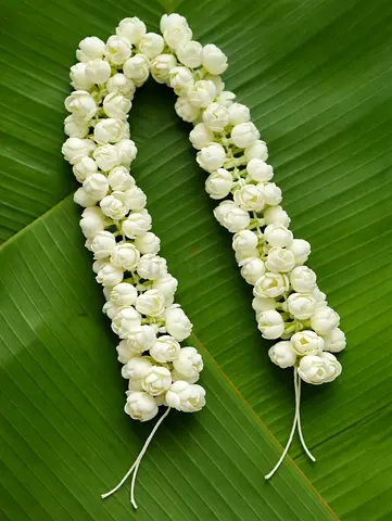 Artificial Jasmine Flower Hair Garlands - Brand New