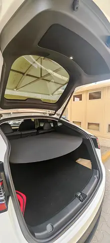 2024 Tesla MODEL Y 照片 4