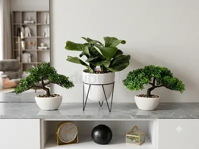 Set of 3 Decorative Indoor Plants with Pots and plant Stand
