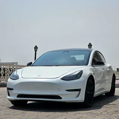 2020 Tesla MODEL 3 photo 2