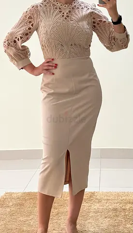 Elegant Powder Beige Dress