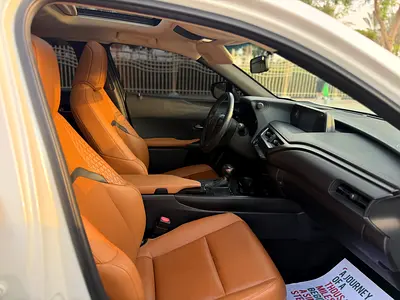 2021 Lexus UX-SERIES 照片 10