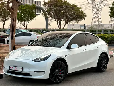 2023 Tesla MODEL Y photo 2