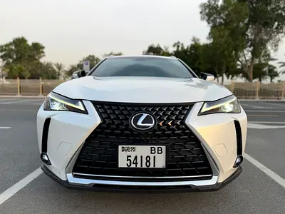 2021 Lexus UX-SERIES 照片 17