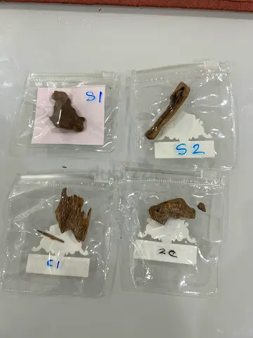 Authentic Agarwood Oud Chips Collection