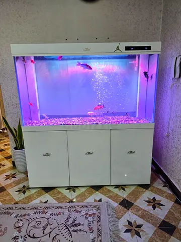 Aquarium
