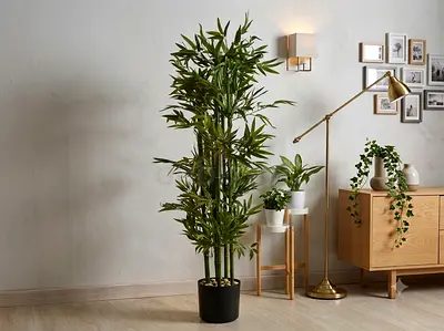 Tall Artificial Bamboo Plant in Black Pot - Decorative Indoor Greenery 160cm