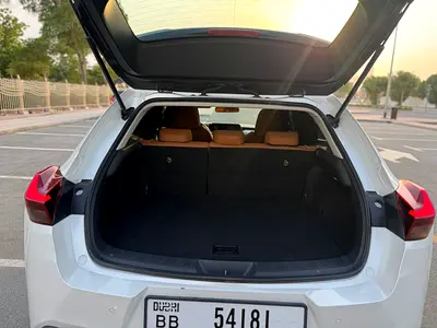 2021 Lexus UX-SERIES 照片 12