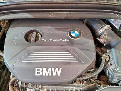 2015 BMW 2-SERIES 照片 6