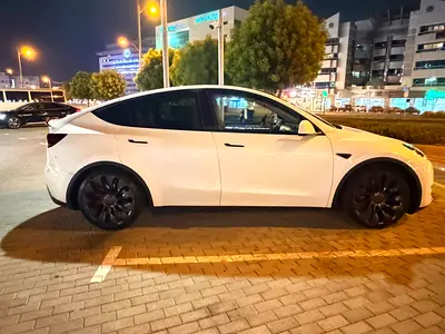 2024 Tesla MODEL Y 照片 7