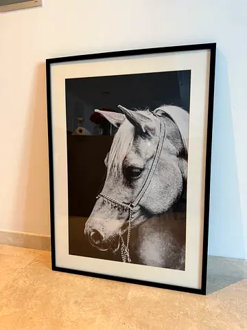 Framed Black & White Horse Portrait Photograph - Large