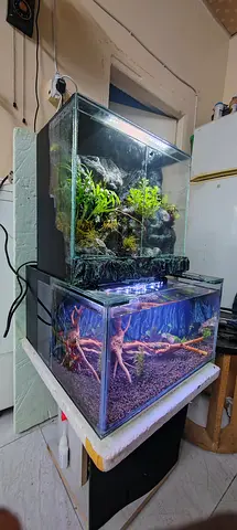 Premium Handmade Paludarium with Waterfall & Hidden Sump Filter