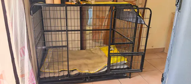 Heavy duty dog crate 180dhs