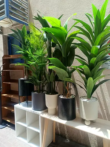 Set of Artificial Potted Plants with Decorative Pots - Ready to Display