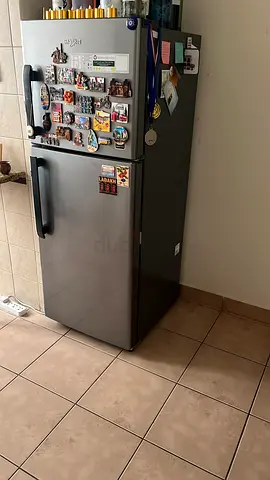 Double Door Refrigerator in Silver