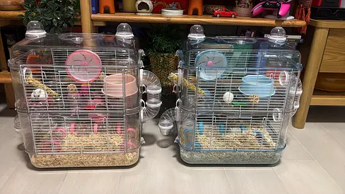 Hamster Cage