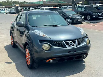 2013 Nissan JUKE 照片 10