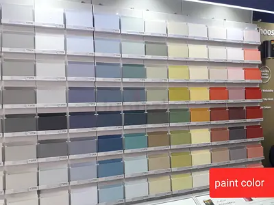 Painter