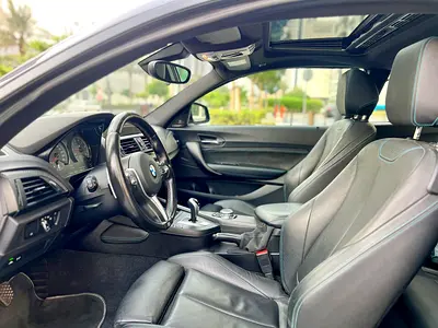 2016 BMW M2 — миниатюра 11