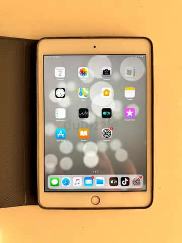 Ipad 3 Mini - Gold 16gb