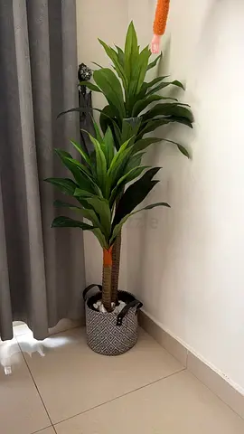 Artificial Plant