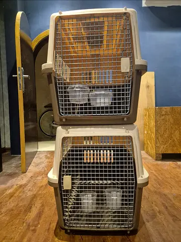 Cats and dogs carriers for air travel