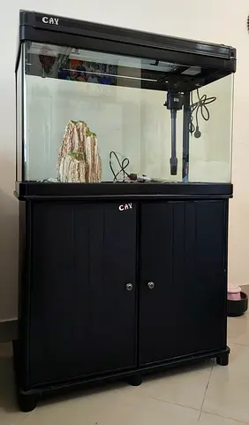 CAY 80cm / 31in Aquarium With Cabinet