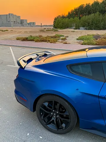 2017 FORD MUSTANG 照片 4