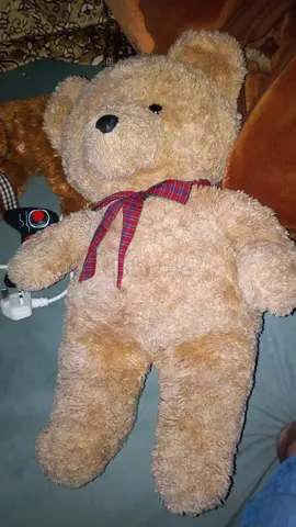 Toy