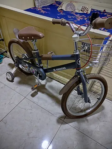 Child's small grey cruiser bike with training wheels and basket