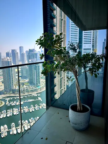 Outdoor plant and pot
