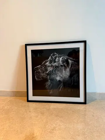 Framed Black & White Lion Photography Print (Large)