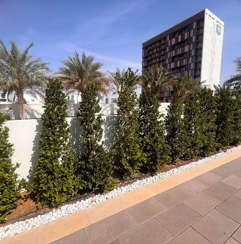 DPV_View_Image_3