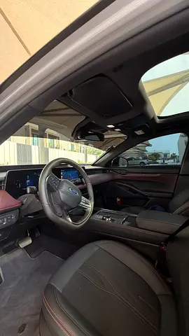 2024 FORD TAURUS 照片 6