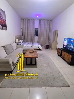 A luxurious studio open view with a semi-detached kitchen, fully furnished, elegant furniture and a