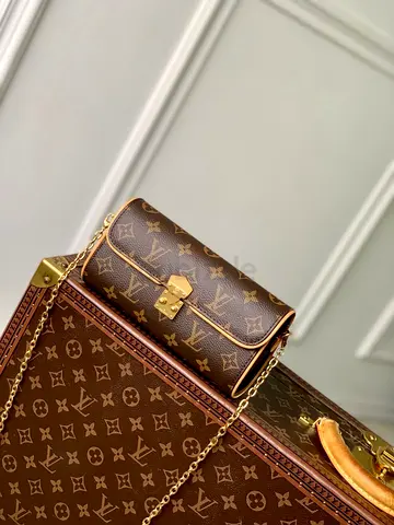 Louis vuitton pochette Camille