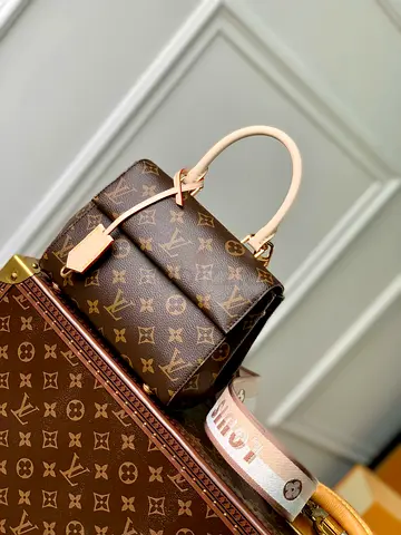 Louis vuitton Cluny Mini handbag