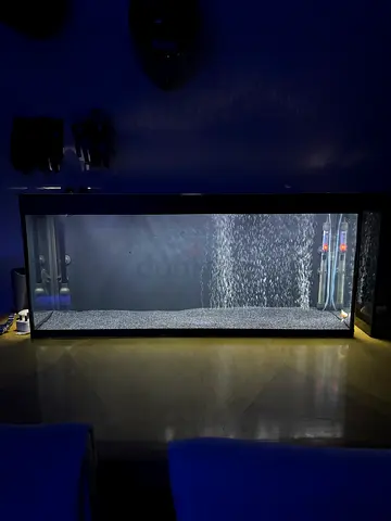 100CM AQUARIUM FOR SALE!!!