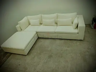 Luxury west elm sofa